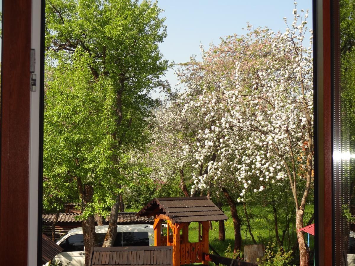 Котедж-Шале Елітний Slavske Exterior photo